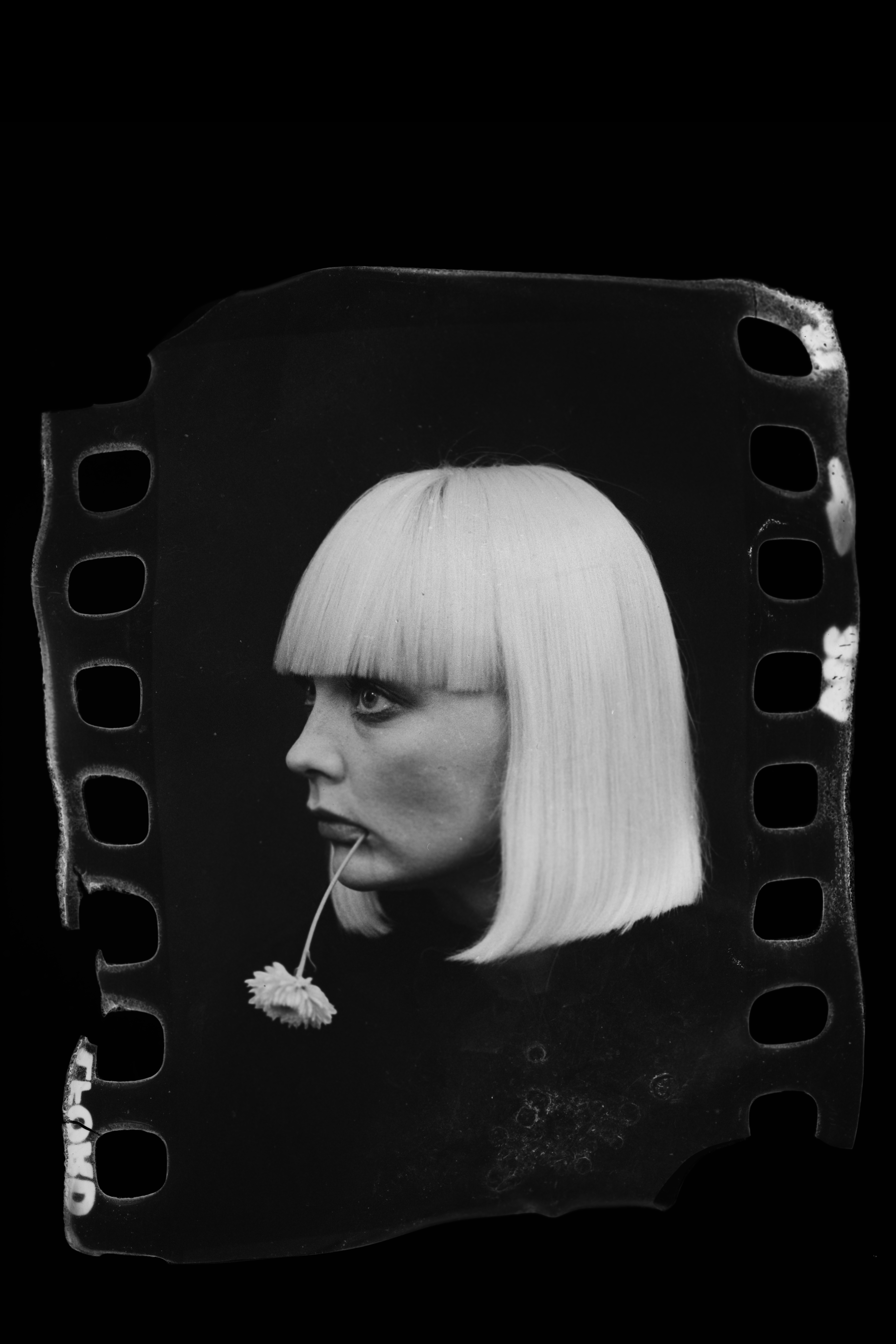 Blumenmädchen Erwin Kneidinger